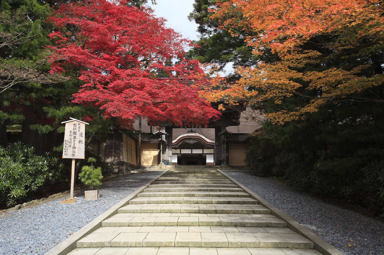 Monte Kōya
